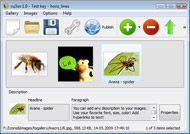 Gallerypro Flash 1 9 8 Descargar Animated Mask Effect Jquery